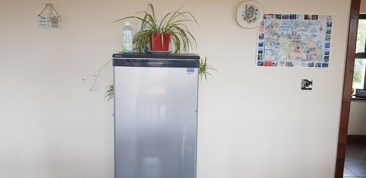 Welcome Rest Holiday Home Баллинтой Экстерьер фото